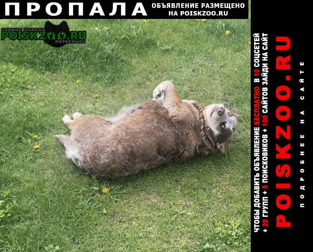 ���� ������� ������