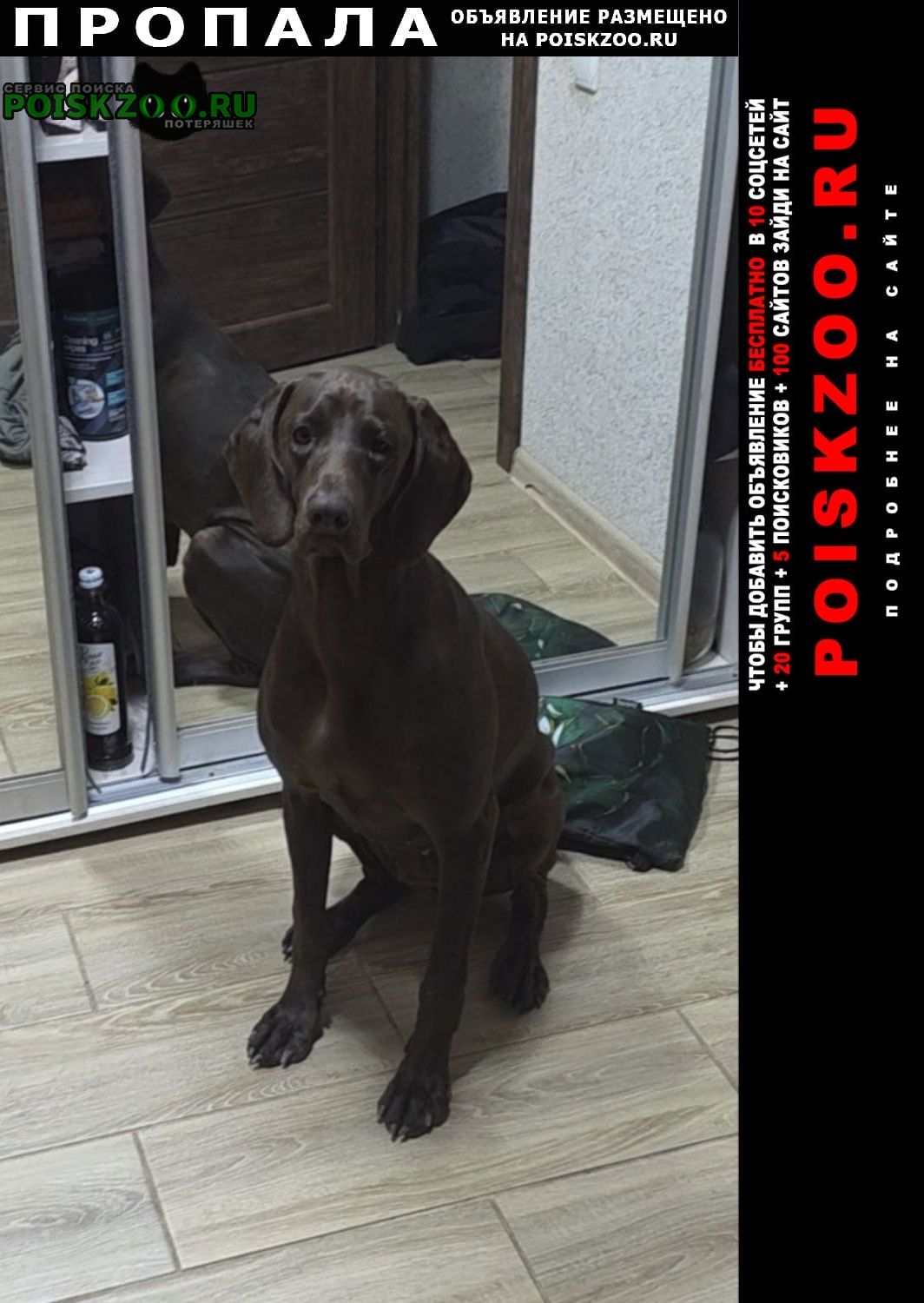 ���� ������� ������ �������