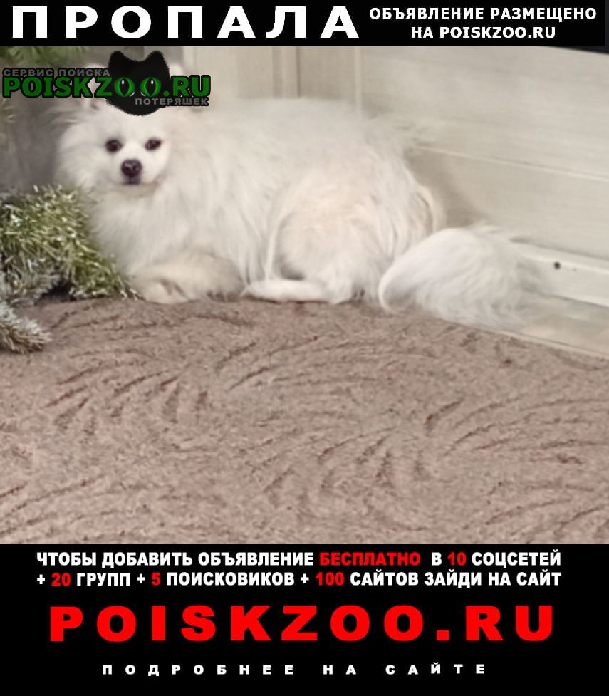 ���� ������� ������ ������