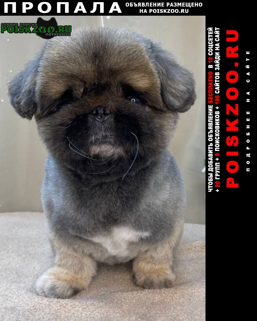 ���� ������� ������ ������