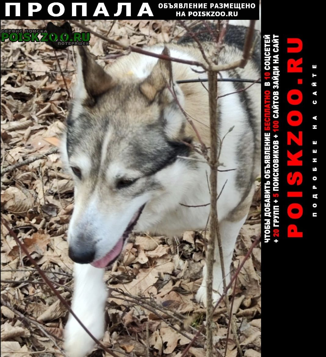 ���� ������� ������