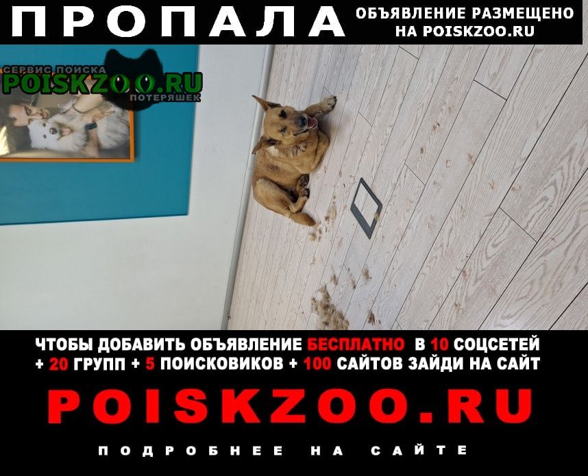 ���� ������� ������ ������ ����� �� ��� �����