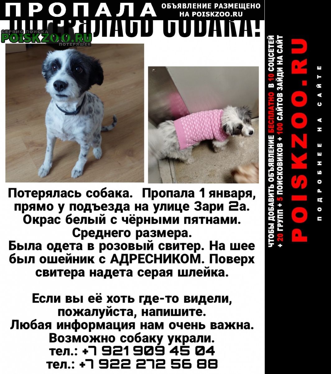 ���� ������� ������