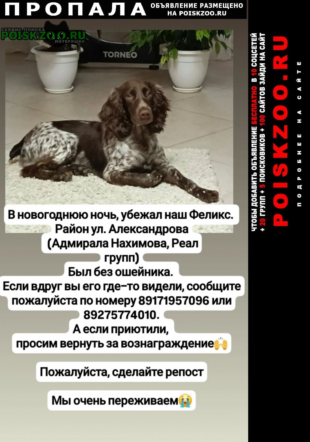 ���� ������� ������ ������.