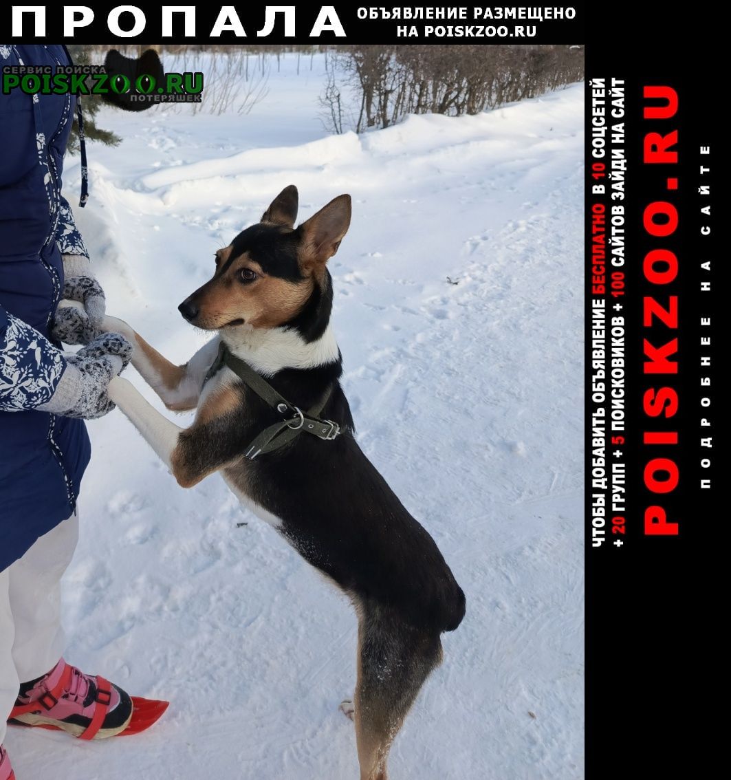 ���� ������� ������ ������� �������