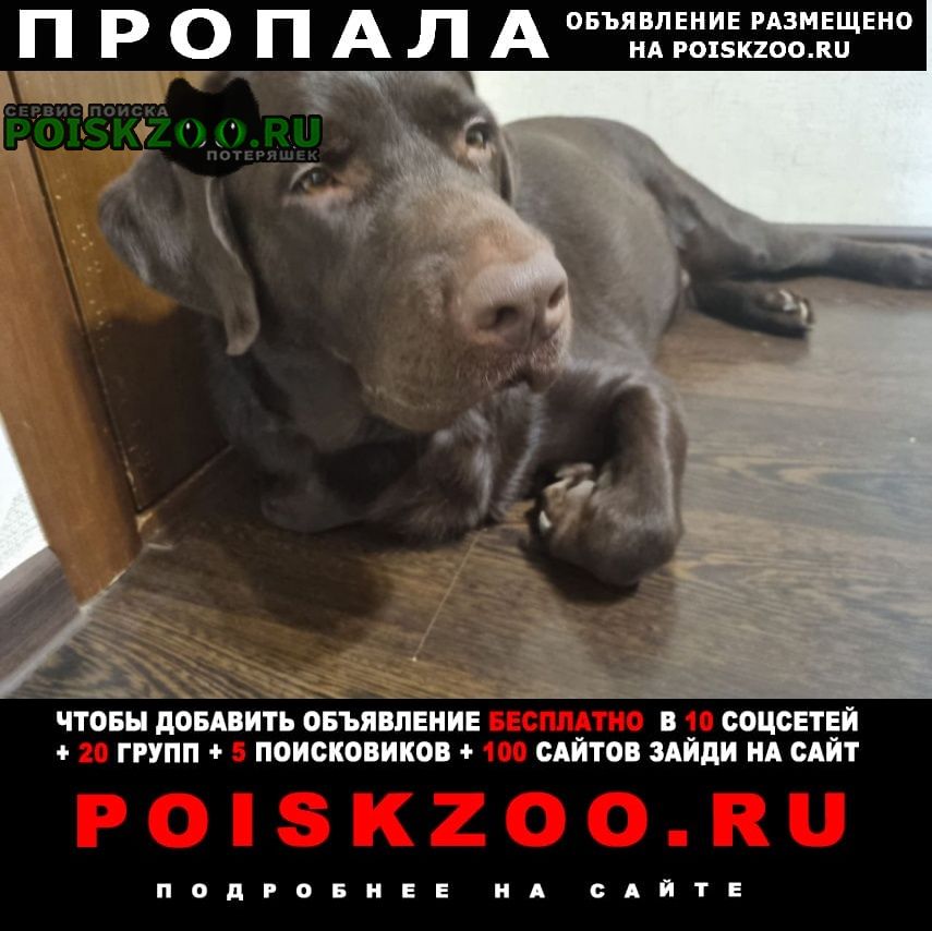 ���� ������� ������ ������