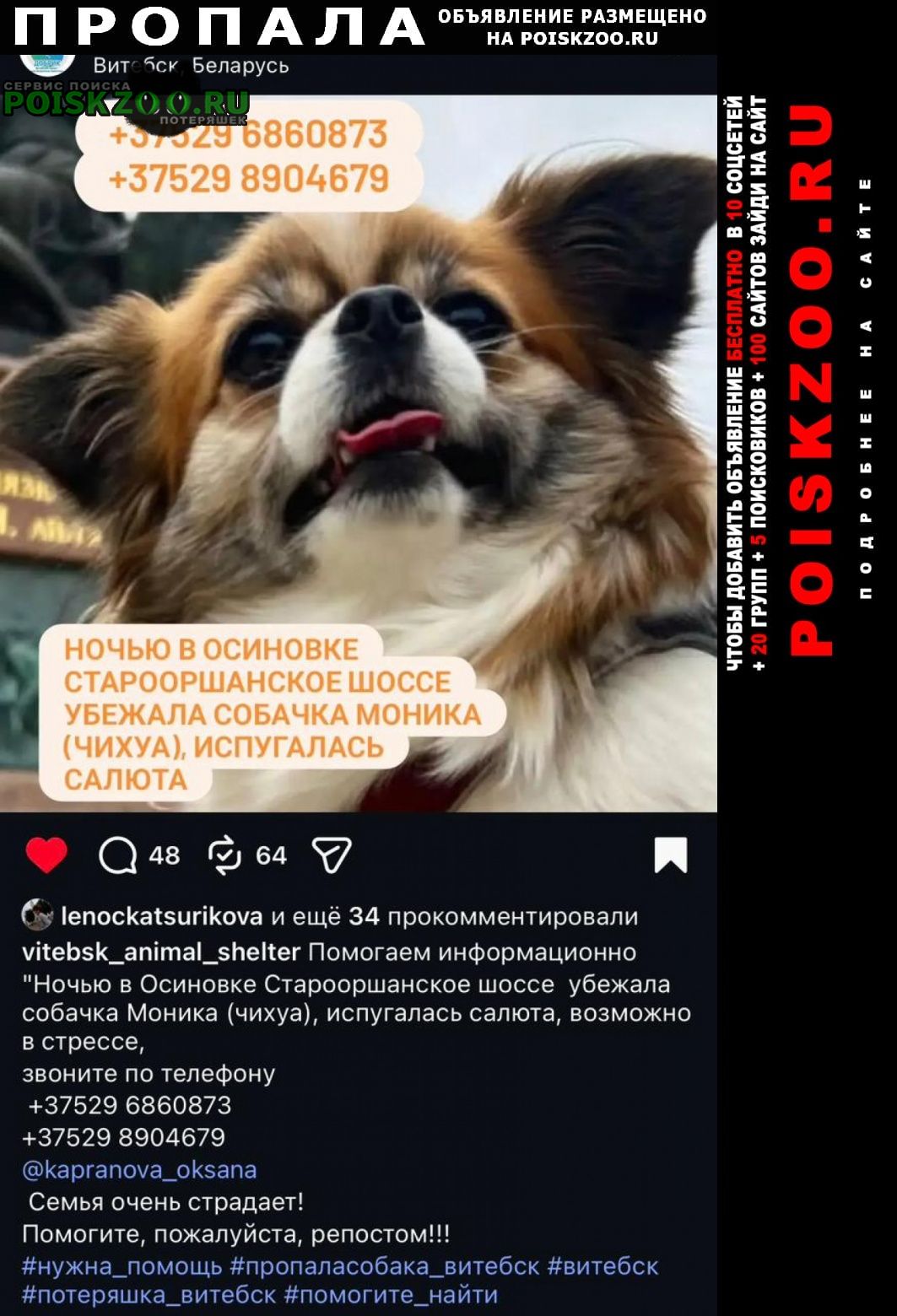 ���� ������� ������