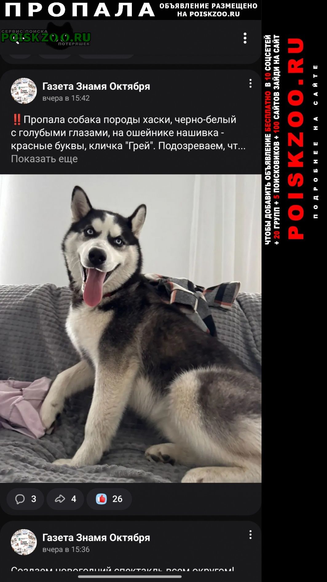 ���� ������� ������ ������ �����