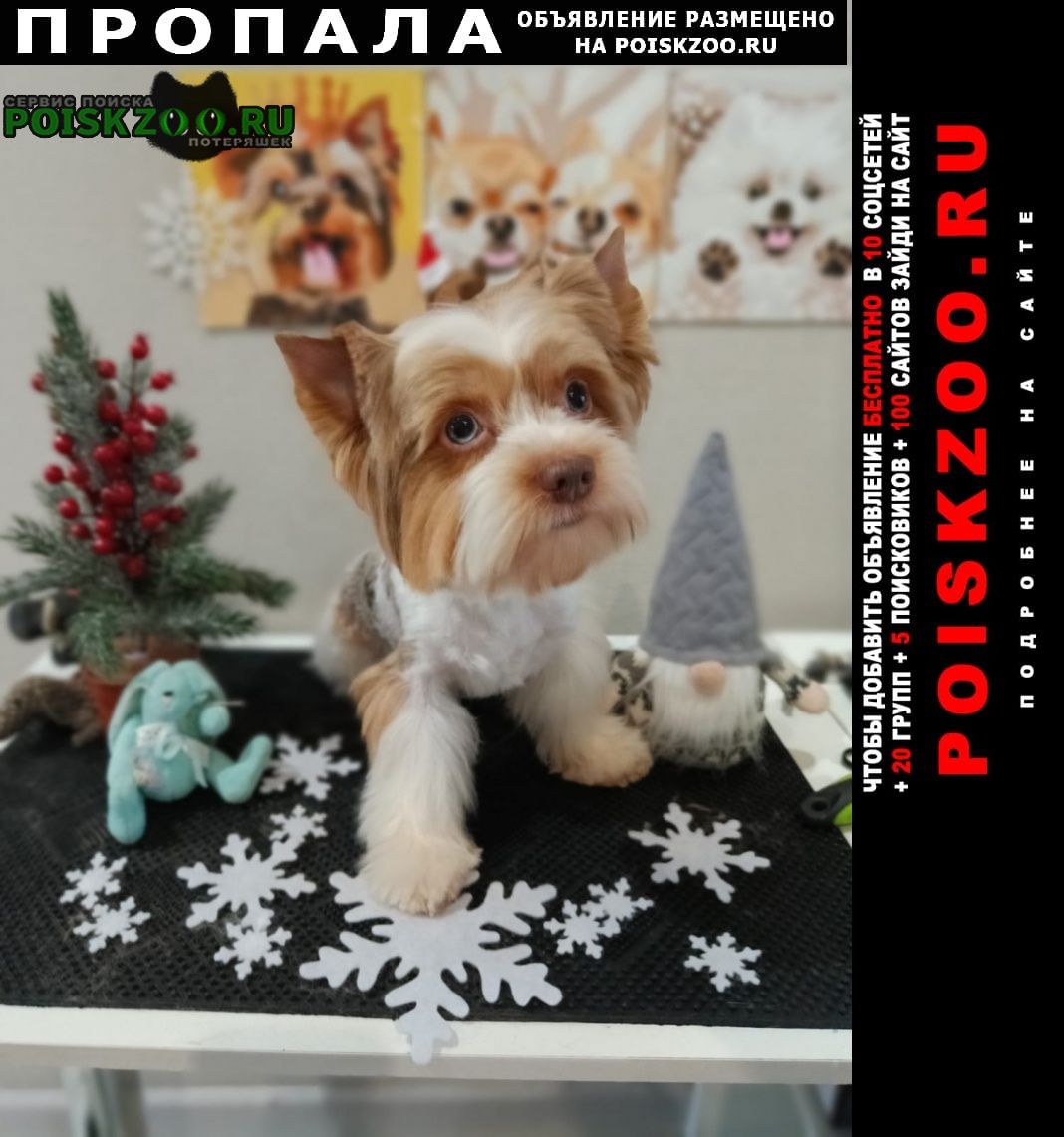 ���� ������� ������ ������