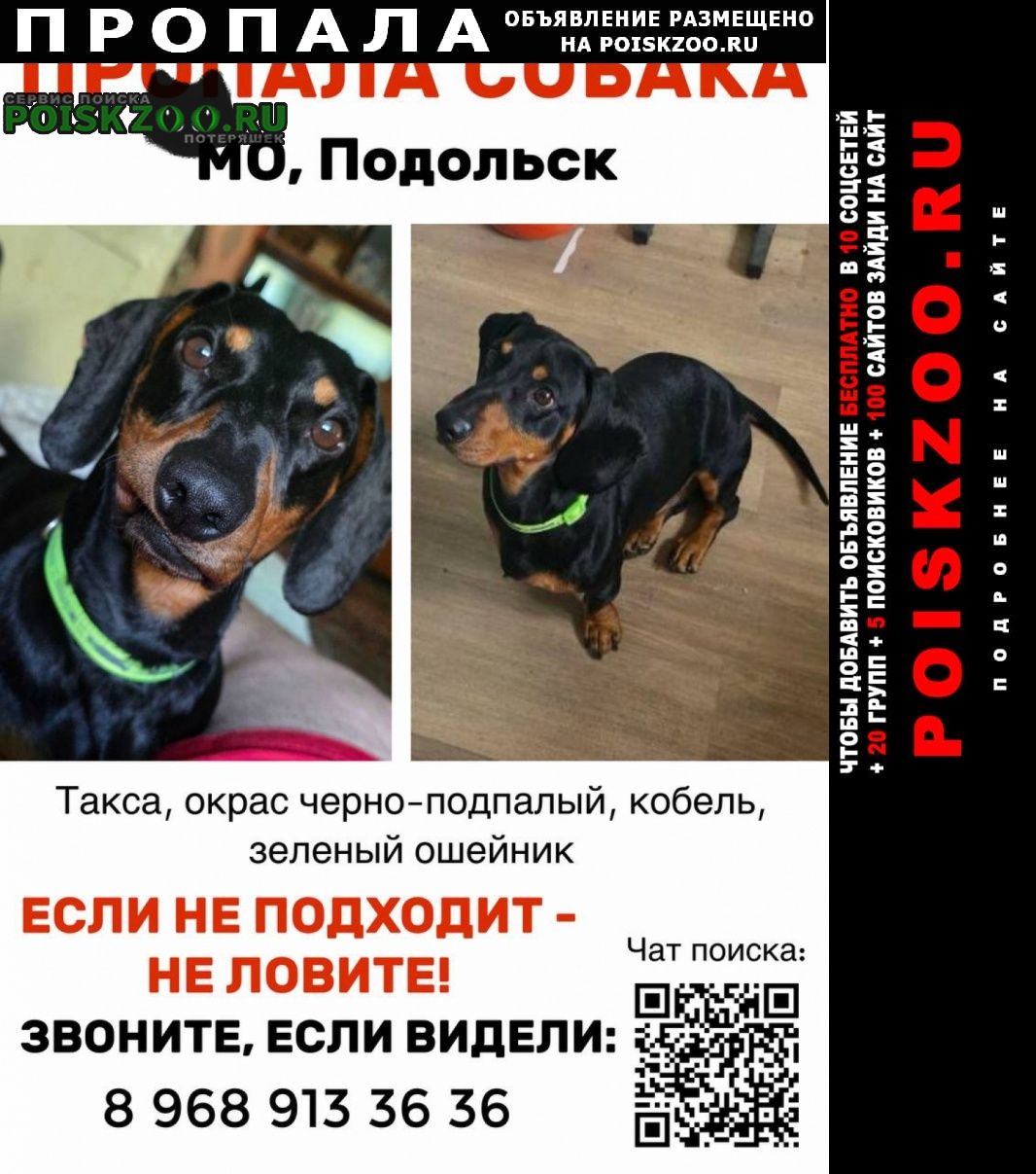 ���� ������� ������ ������ ����� ������