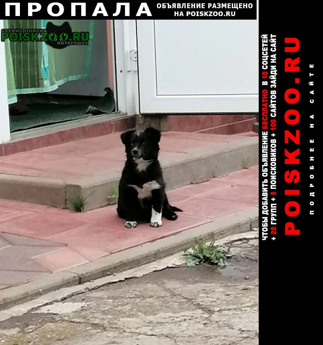 ���� ������� ������