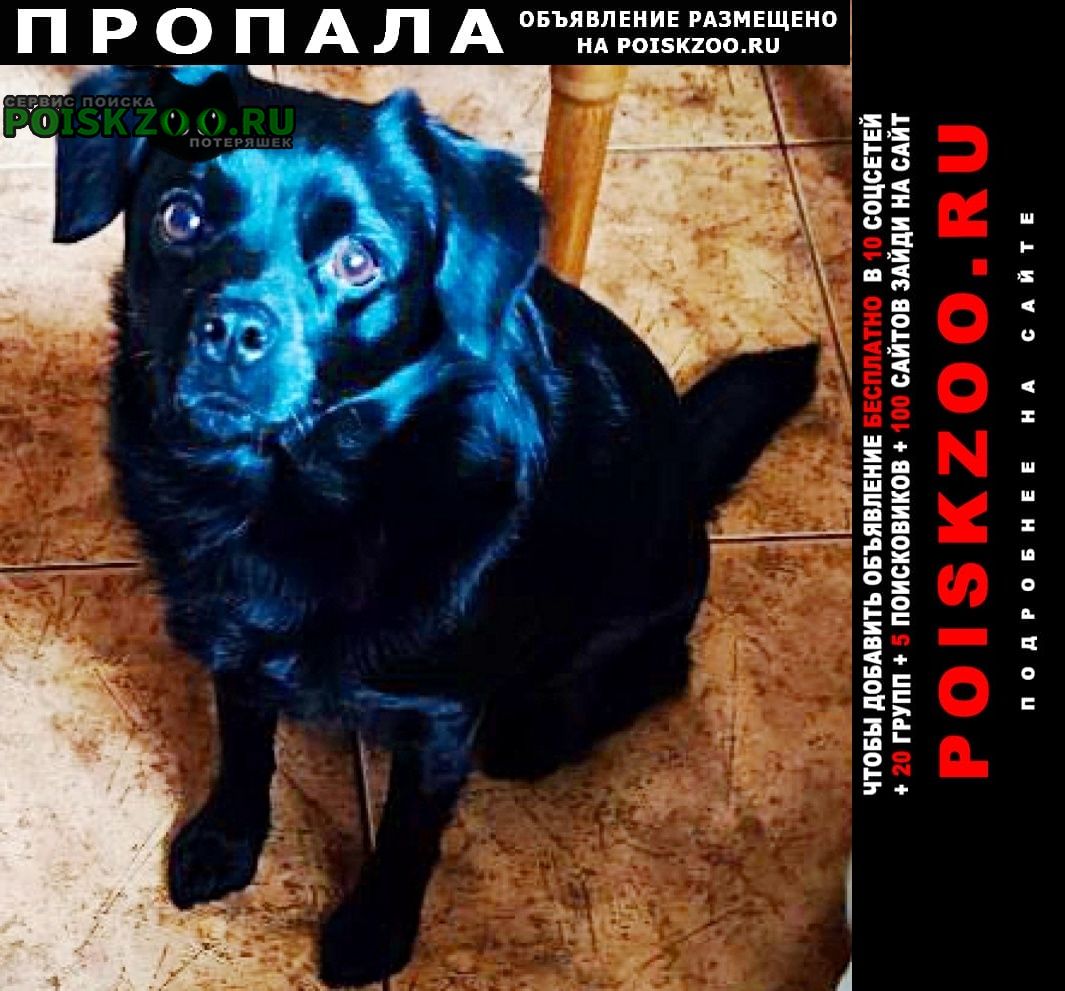 ���� ������� ������ ������ �������� �����