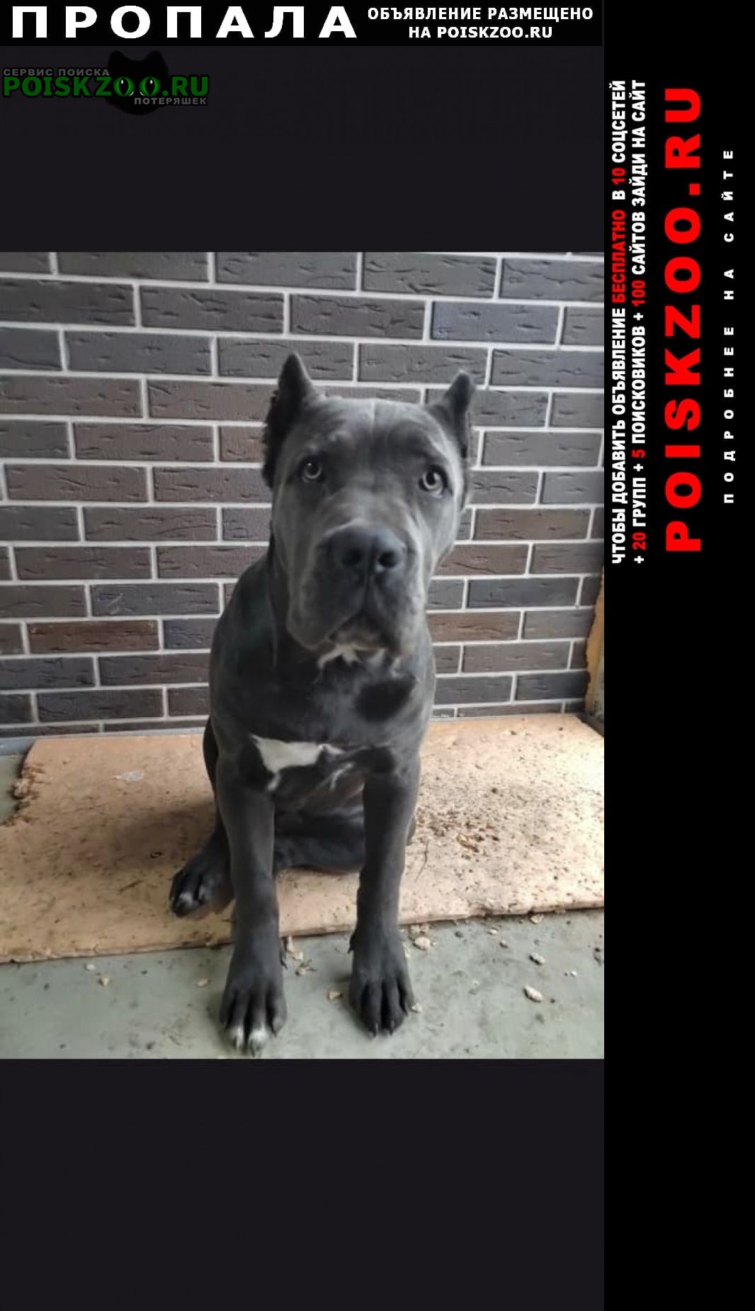 ���� ������� ������ ����� ������ ����� �����