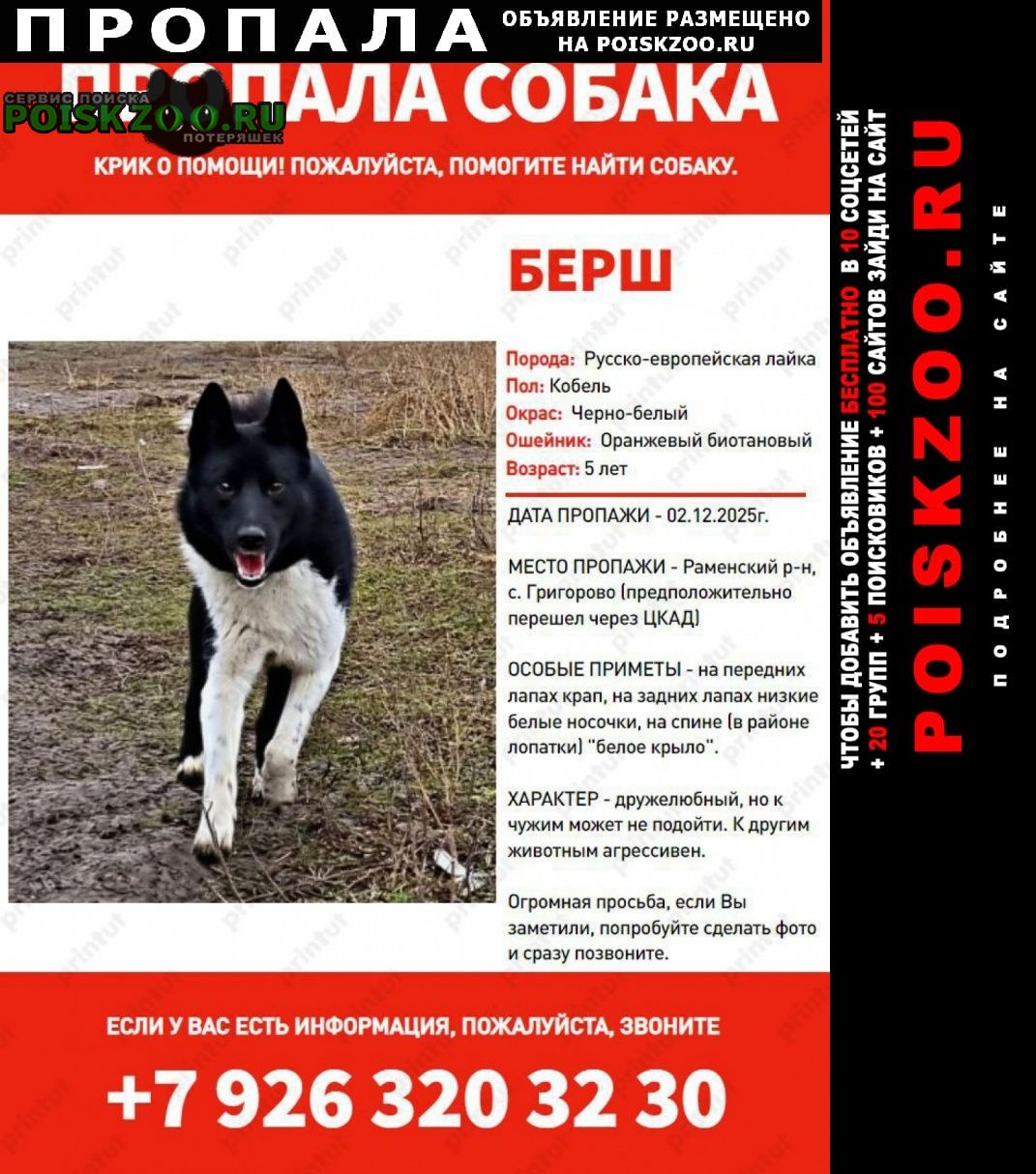 ���� ������� ������ ������