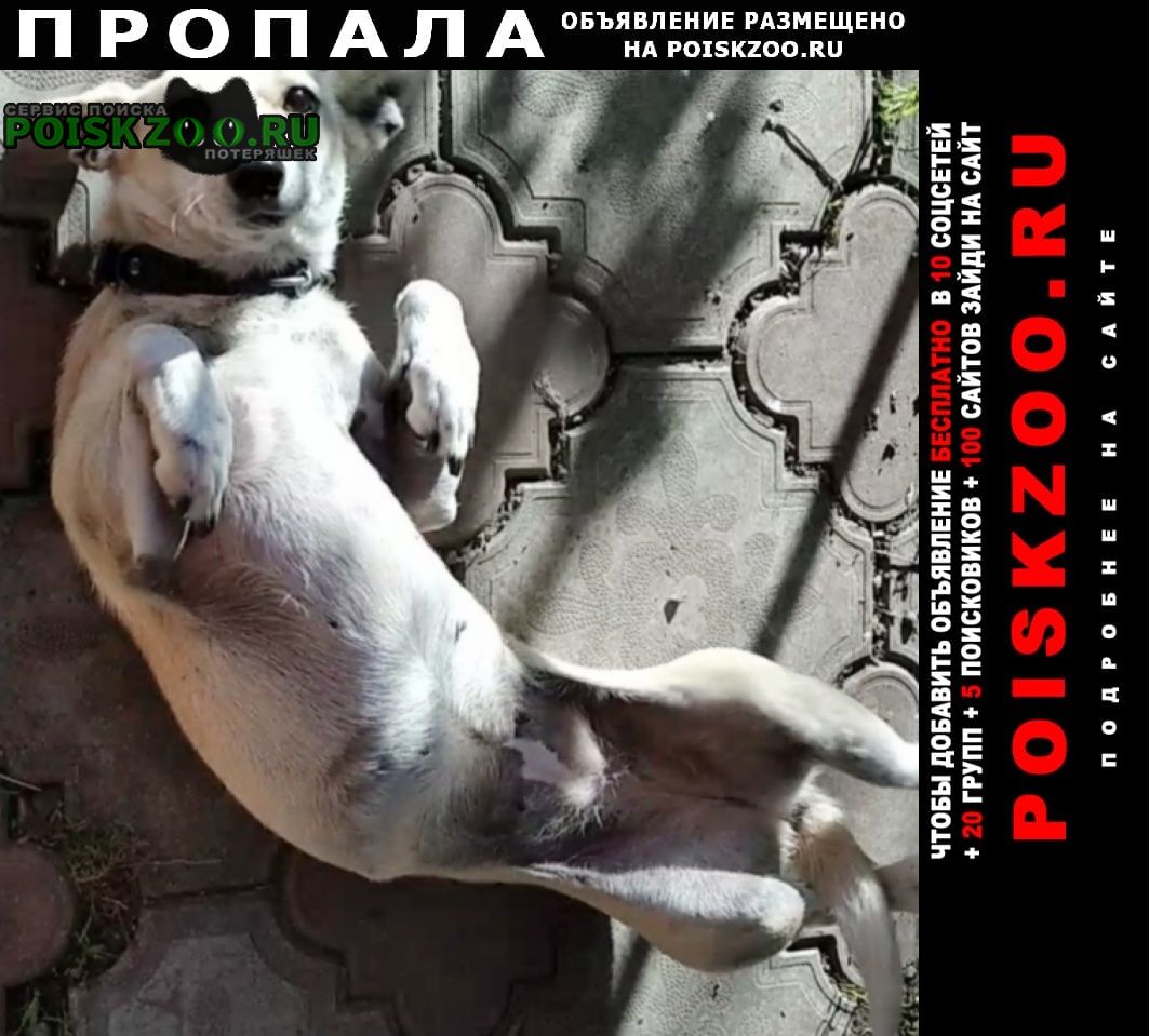 ���� ������� ������