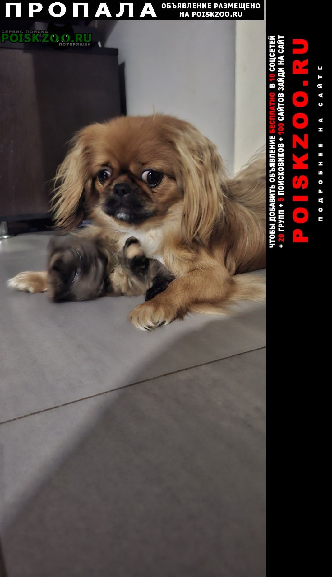 ���� ������� ������ ������ �������