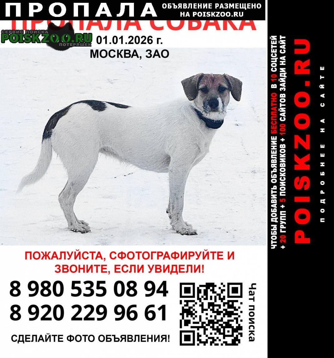 ���� ������� ������