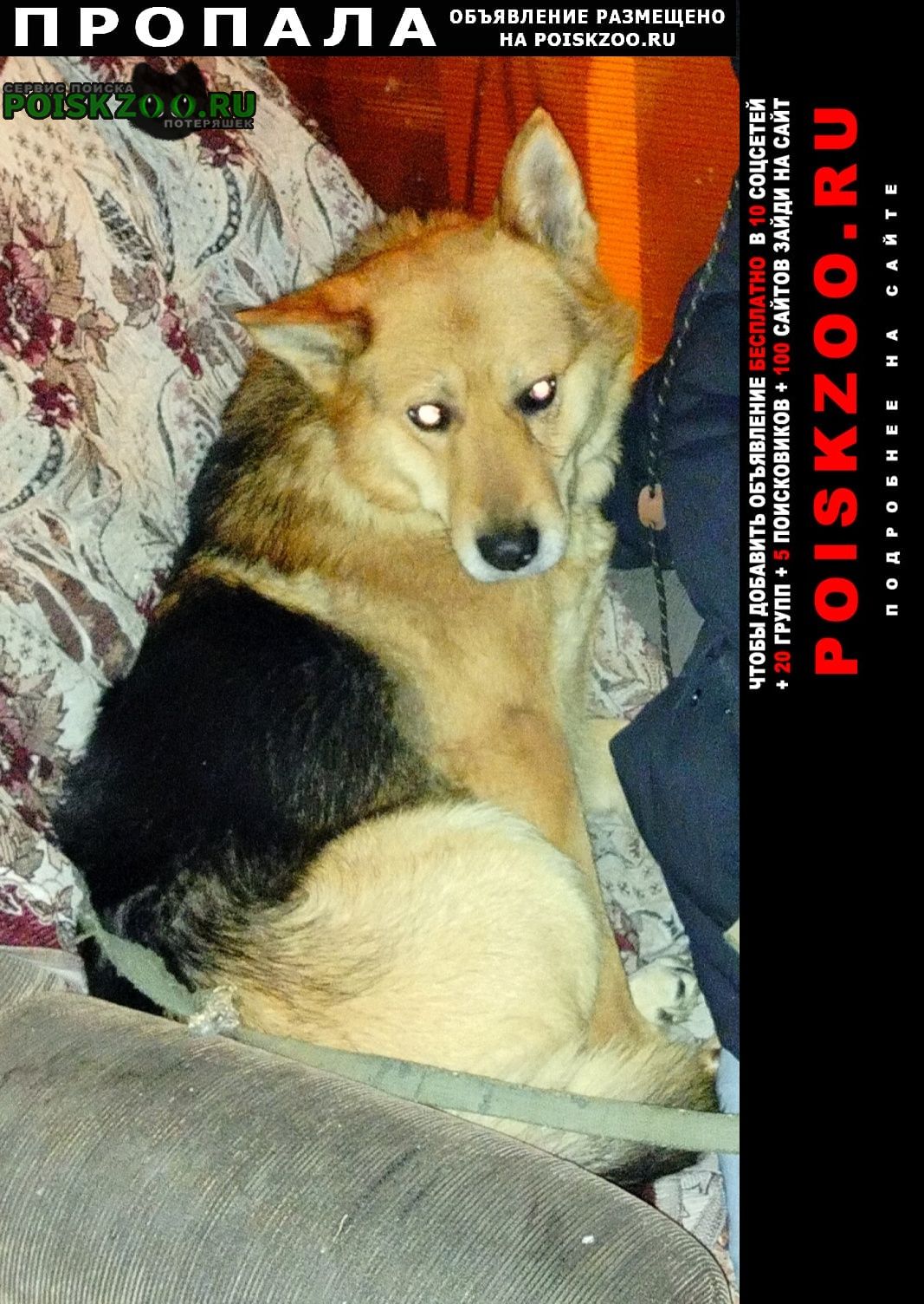 ���� ������� ������ ������