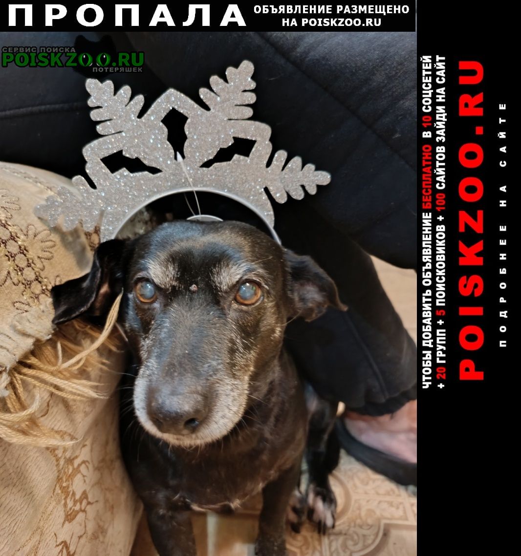 ���� ������� ������ ������� ������ ������ � ��������