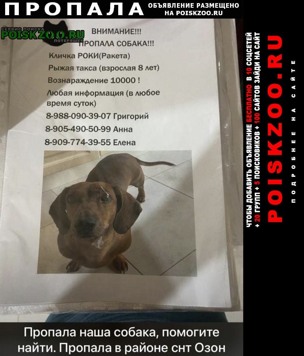 ���� ������� ������