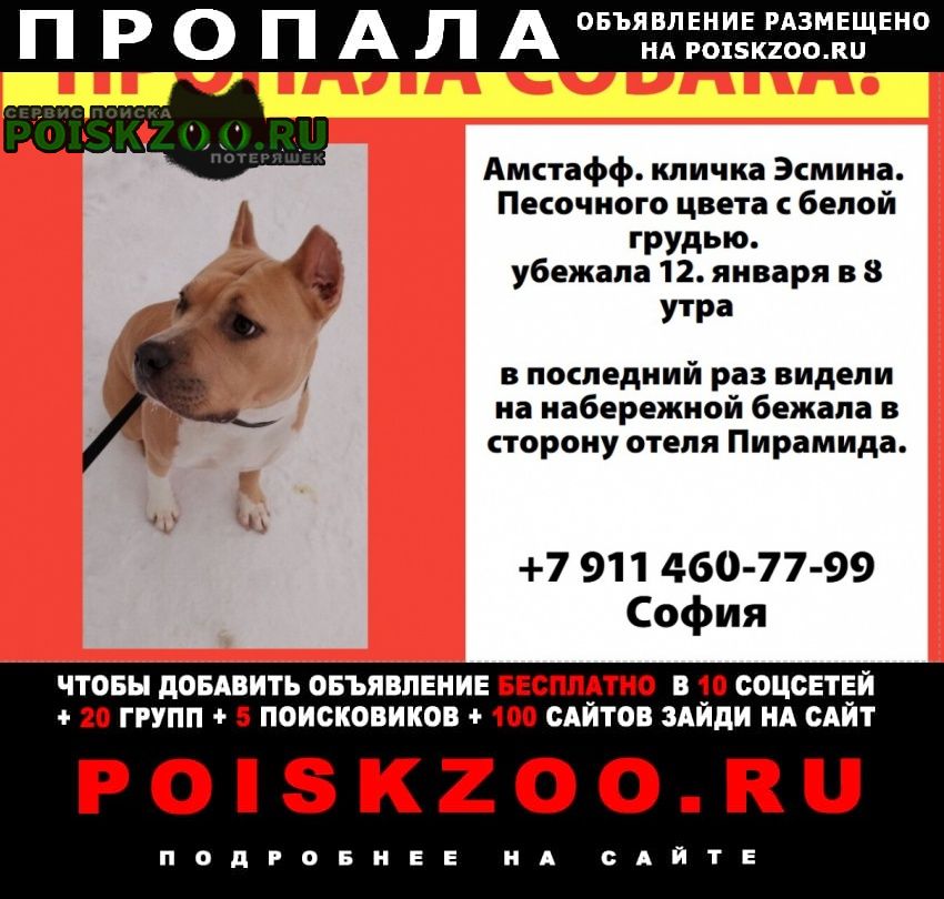 ���� ������� ������ �������