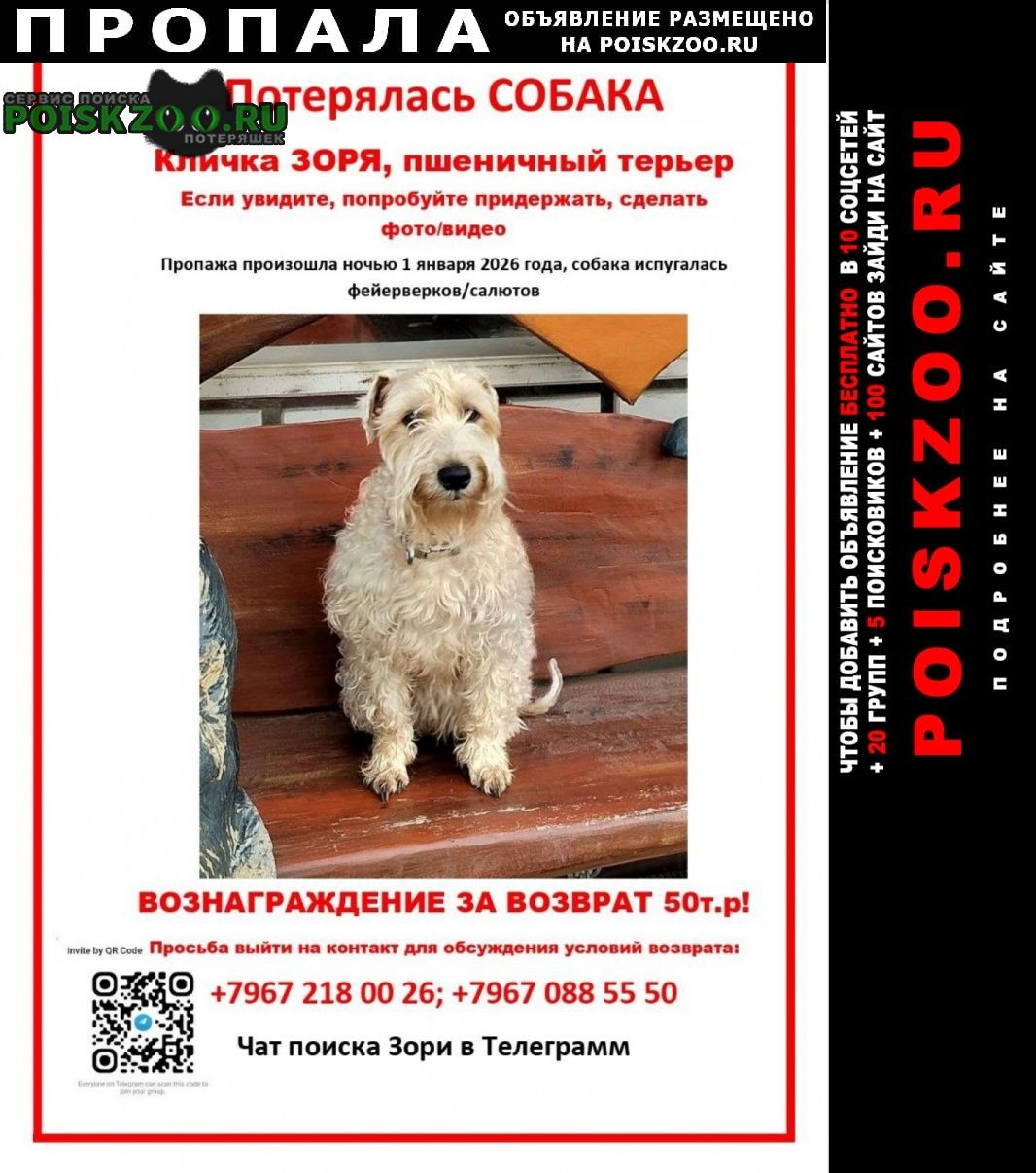 ���� ������� ������