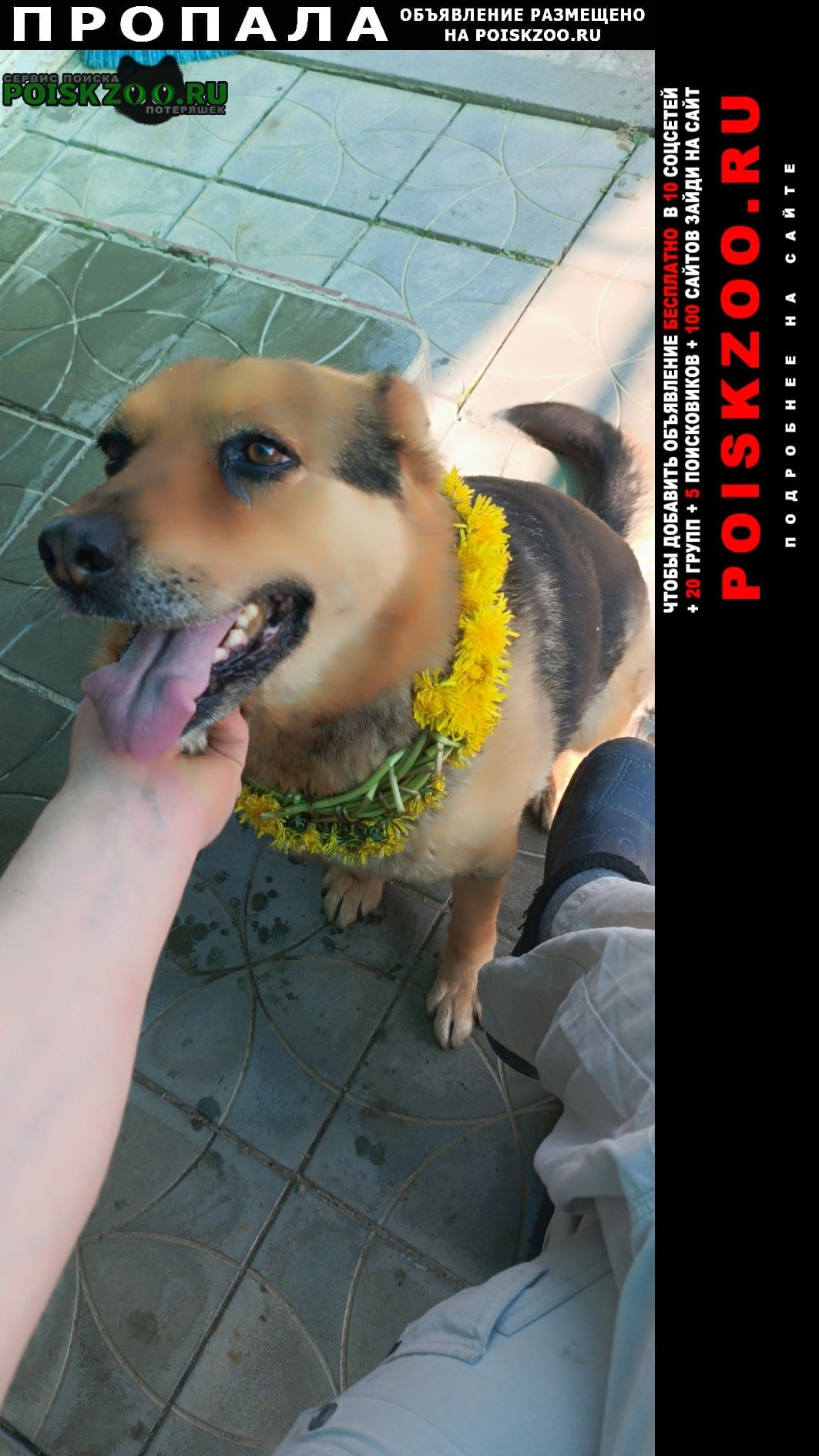 ���� ������� ������ ����, ����� �������