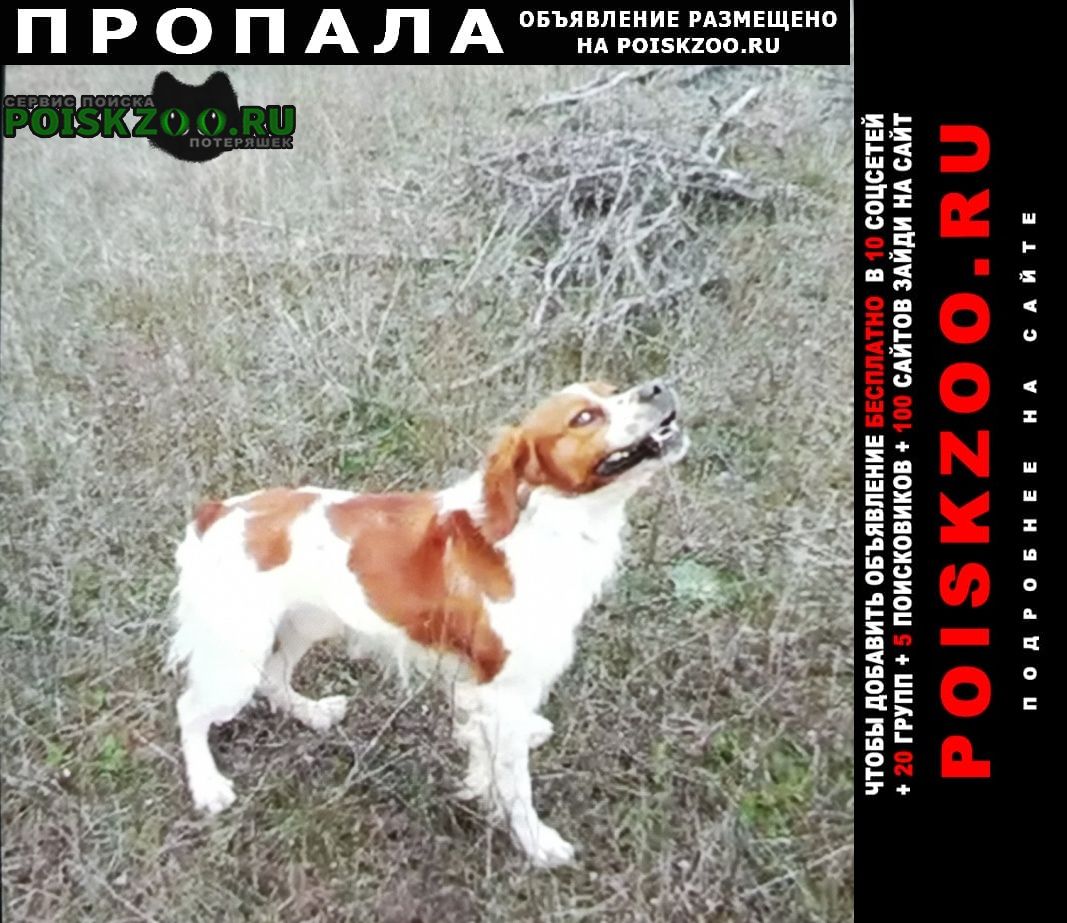 ���� ������� ������ ������