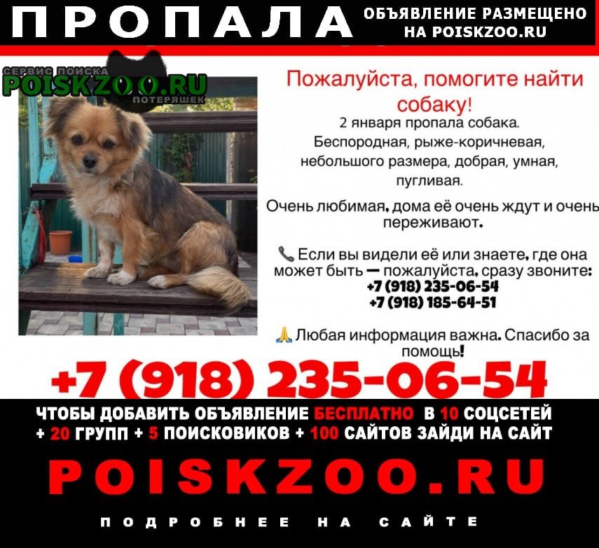 ���� ������� ������ �������� �������