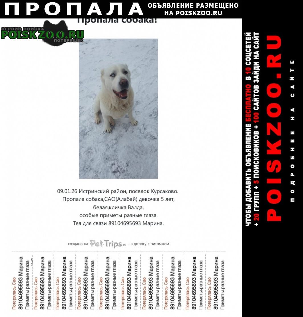 ���� ������� ������ ������