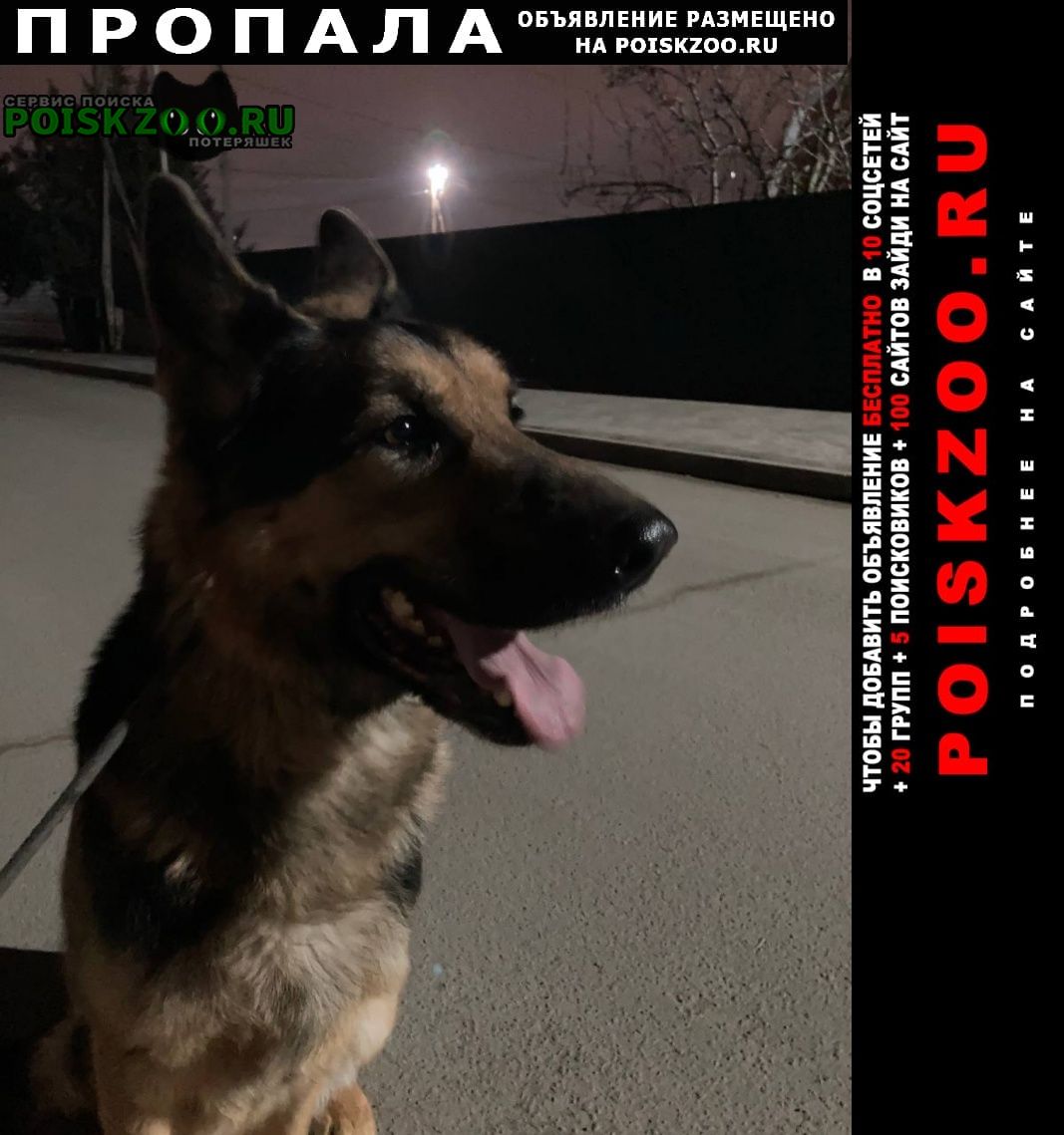 ���� ������� ������ ������