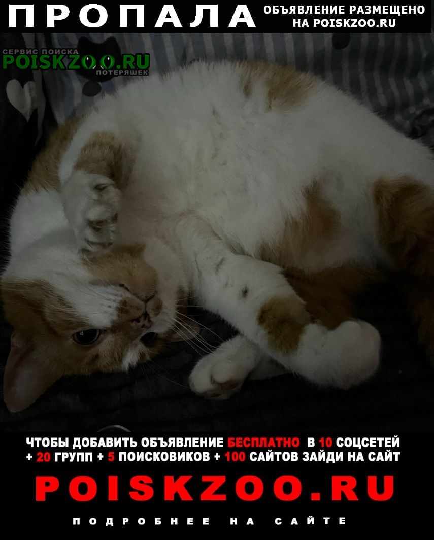 ���� ������ ���