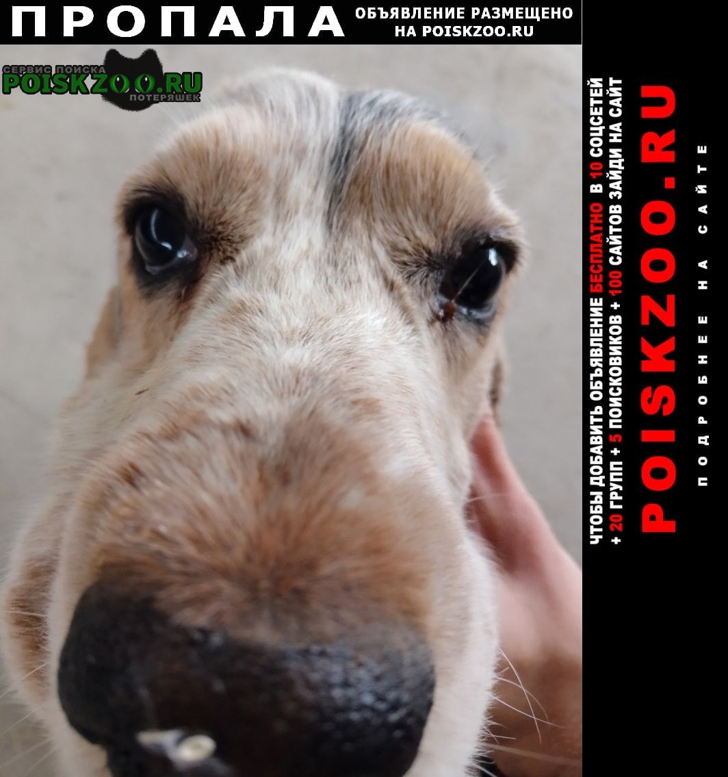 ���� ������� ������ ������