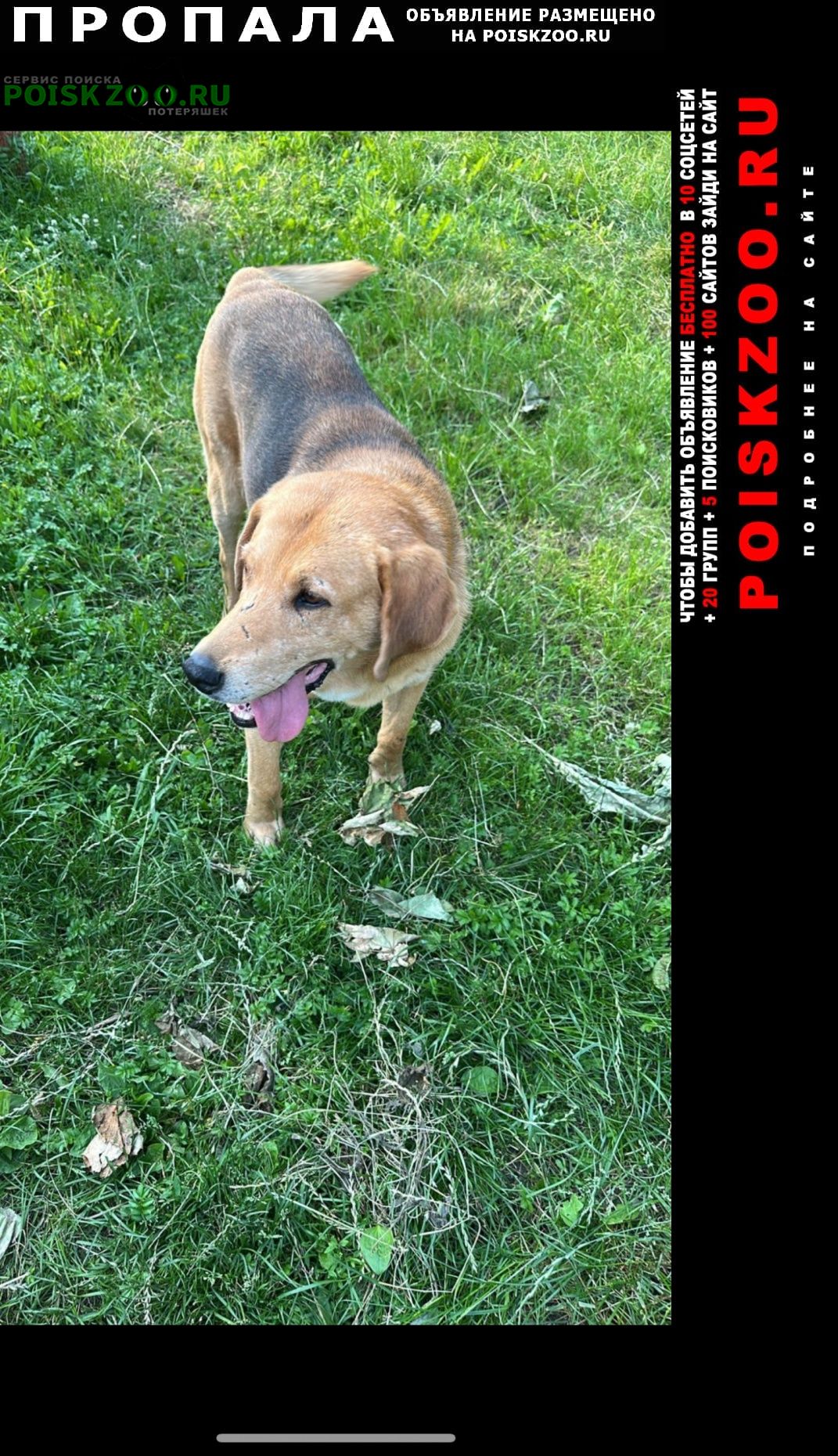 ���� ������� ������ ������