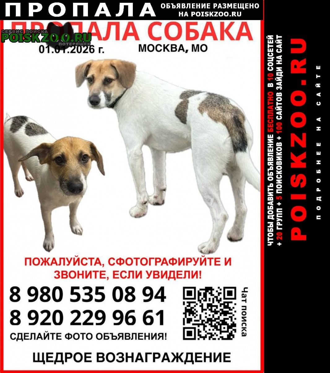 ���� ������� ������