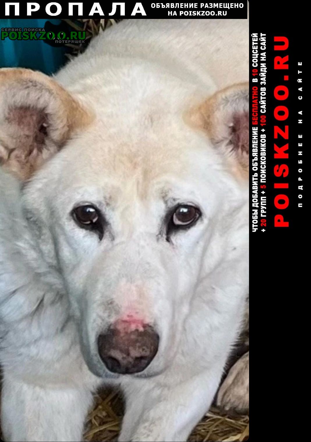 ���� ������� ������ ������ �����