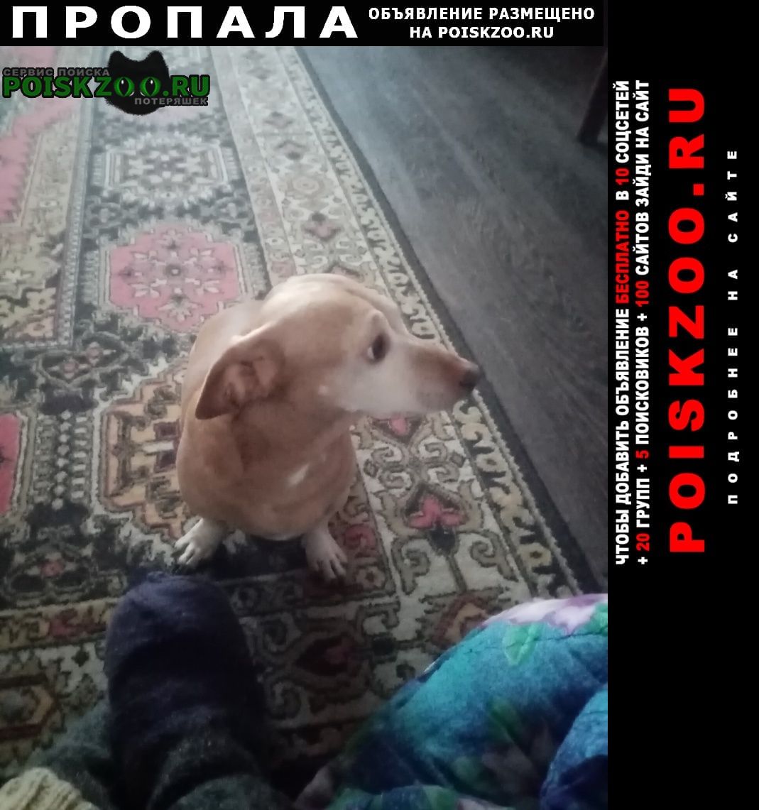 ���� ������� ������ ������