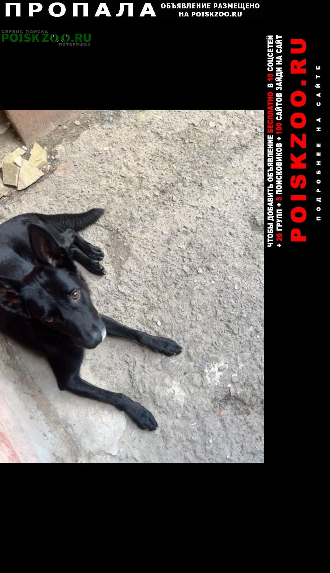 ���� ������� ������ ������