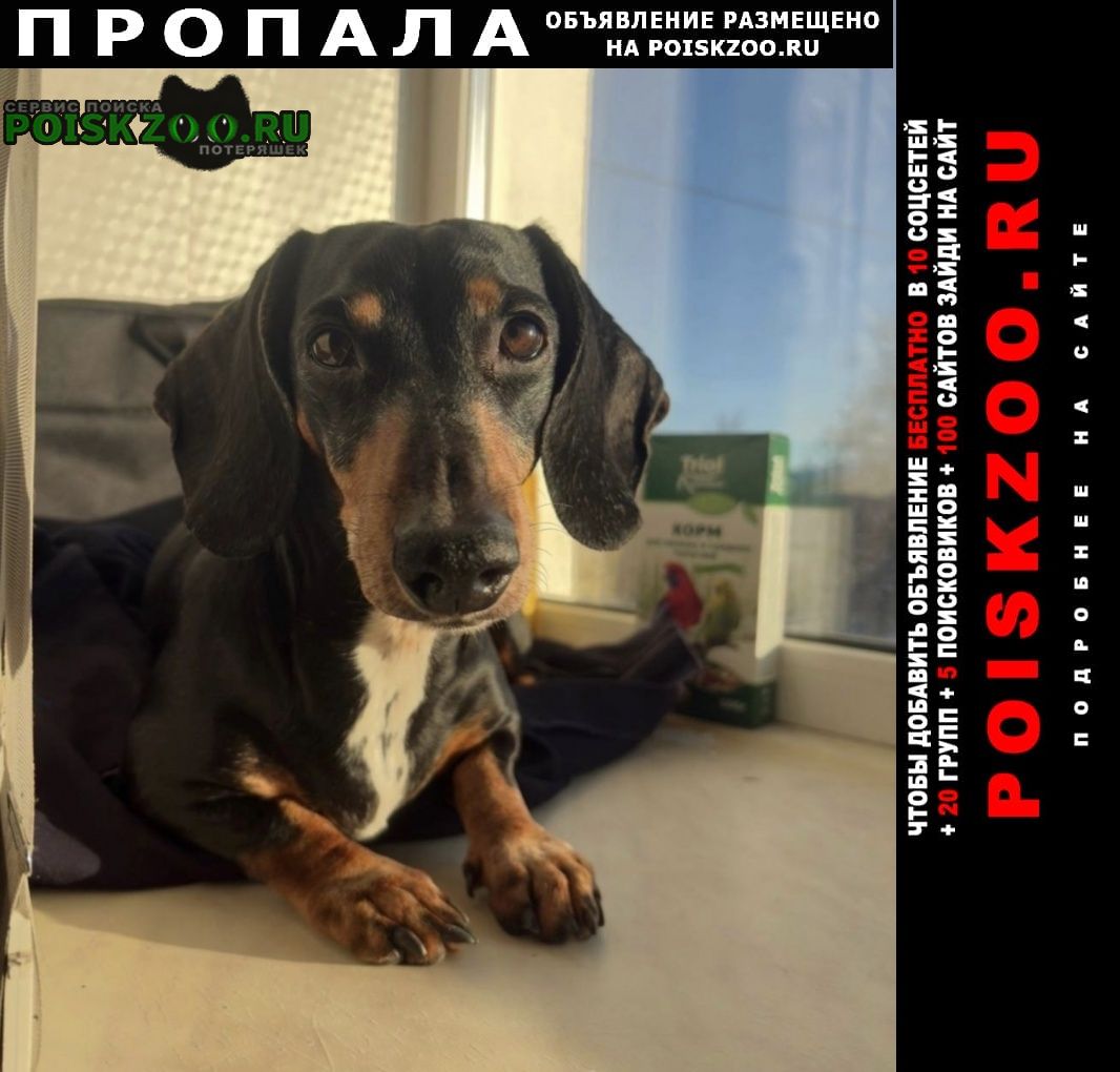 ���� ������� ������