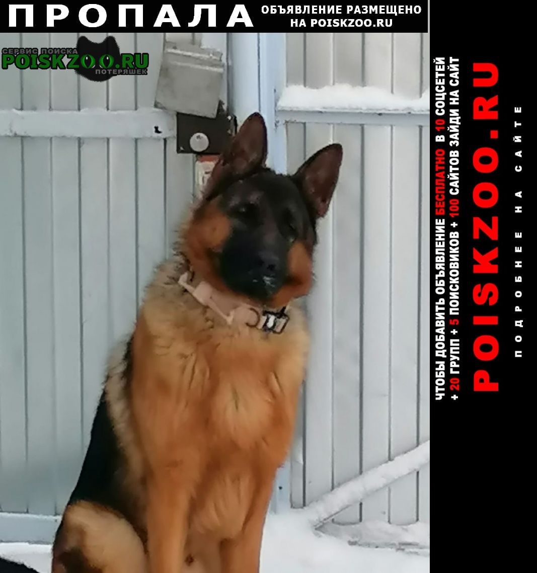 ���� ������� ������ ������ ���� 19 ������