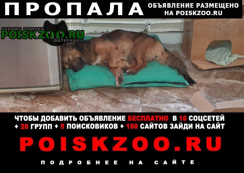 ���� ������� ������ ������