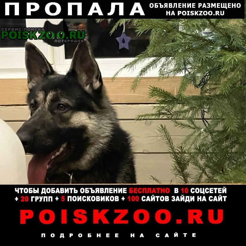 ���� ������� ������ ������. ������ ����� ��� �. �����