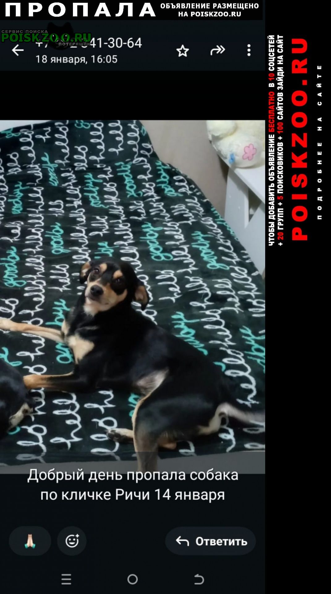 ���� ������� ������ ������