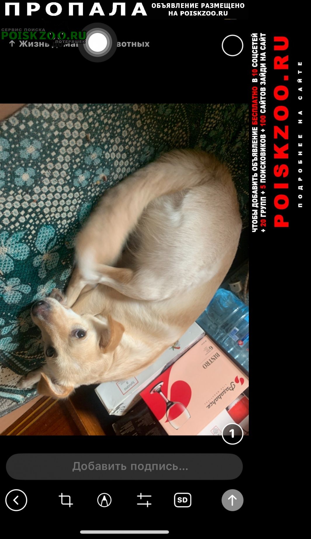 ���� ������� ������