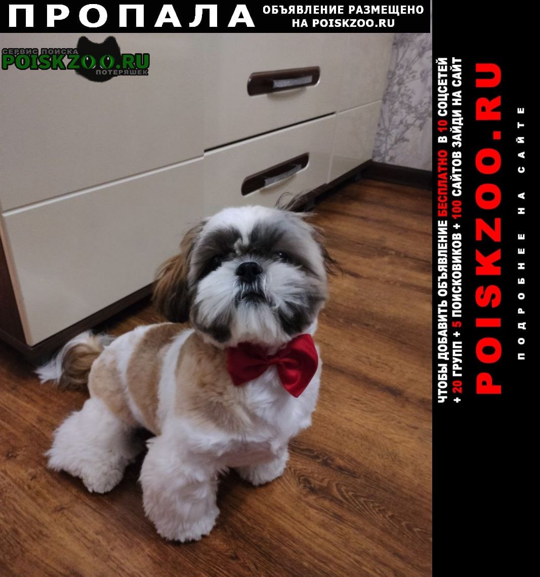 ���� ������� ������ ������