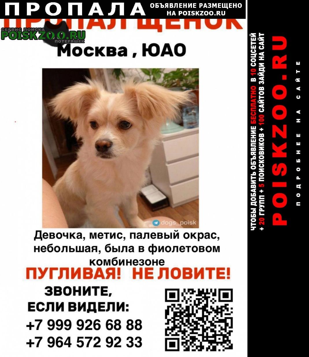 ���� ������� ������ �����