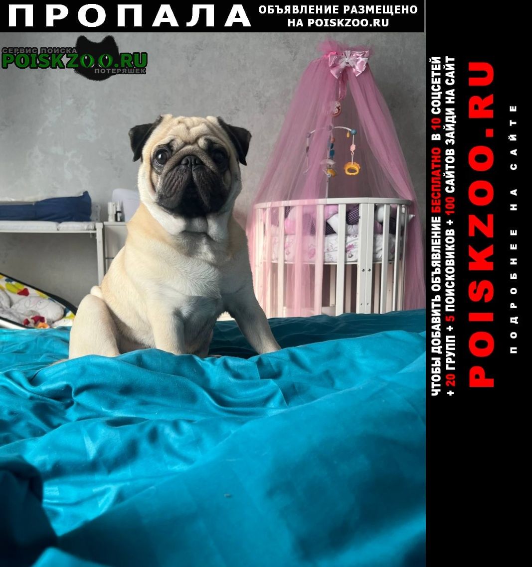 ���� ������� ������ ������ ����