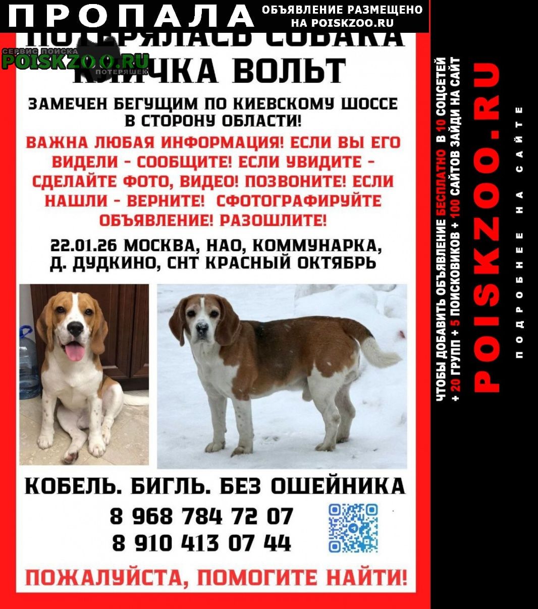 ���� ������� ������ ������ �������� �����