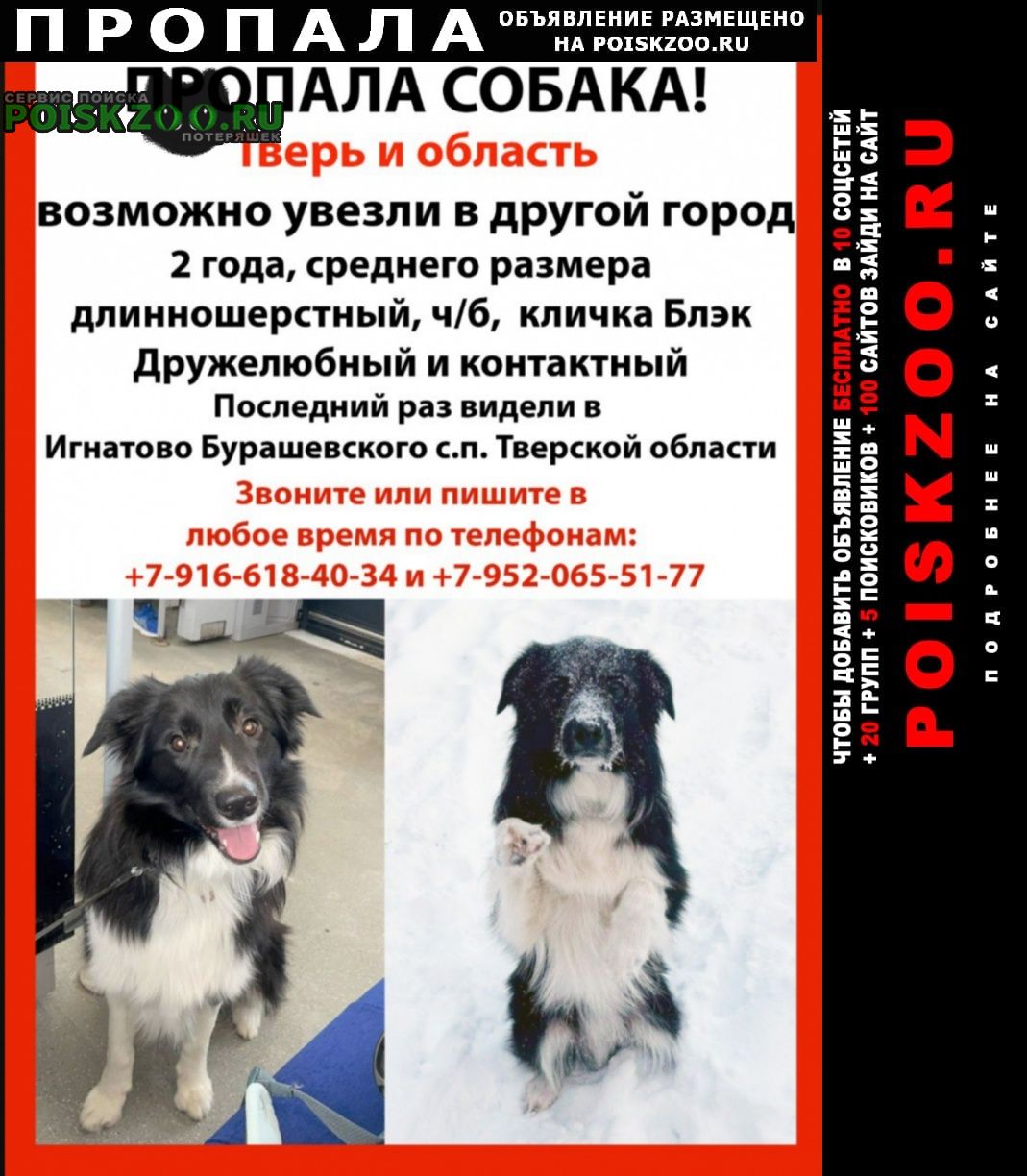 ���� ������� ������ ������