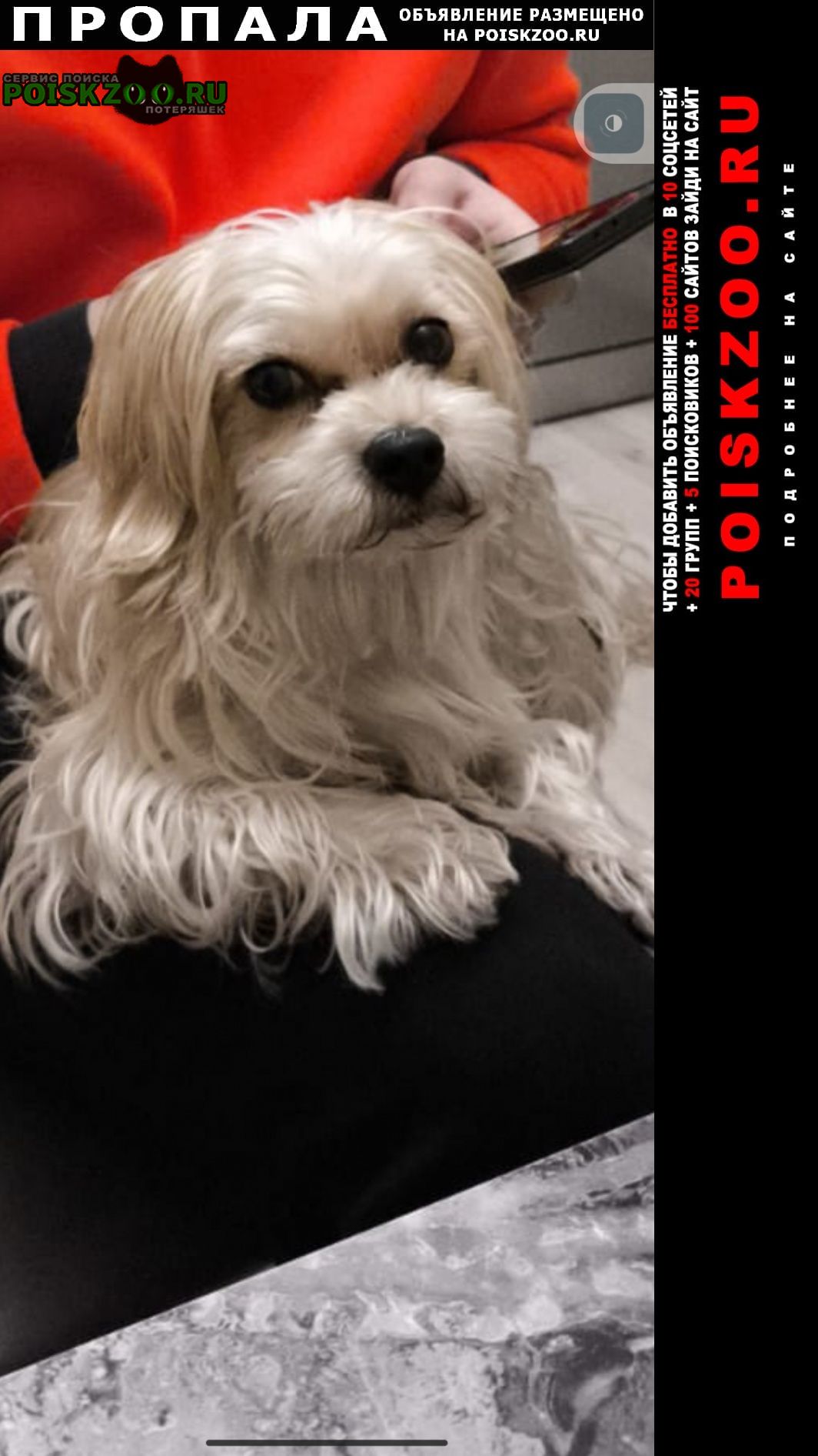 ���� ������� ������ ������ � �. ��������